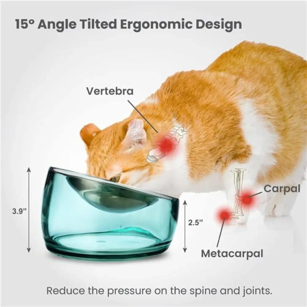 Elevated Cat Bowls Whisker Fatigue Stainless Steel Shallow Dish, Tilted